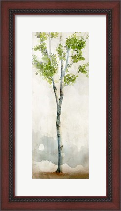 Framed Watercolor Birch Trees I Print