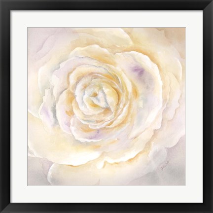 Framed Watercolor Rose Closeup I Print