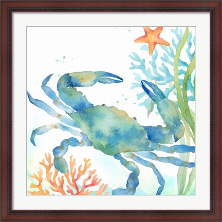 Framed Sea Life Serenade II Print
