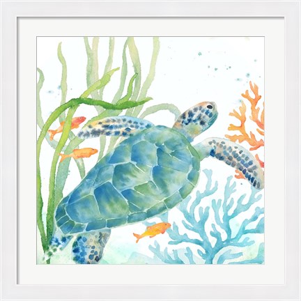 Framed Sea Life Serenade IV Print