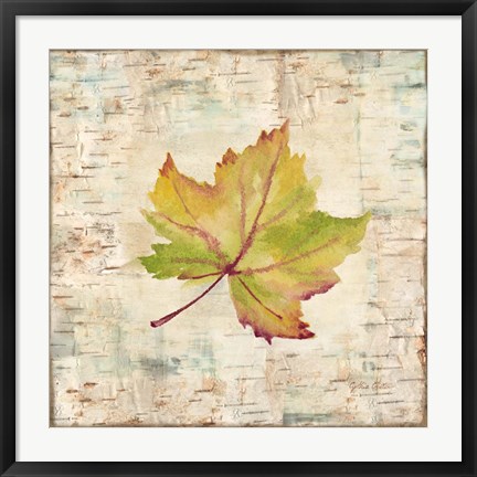 Framed Nature Walk Leaves III Print