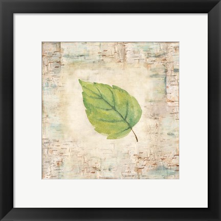 Framed Nature Walk Leaves IV Print