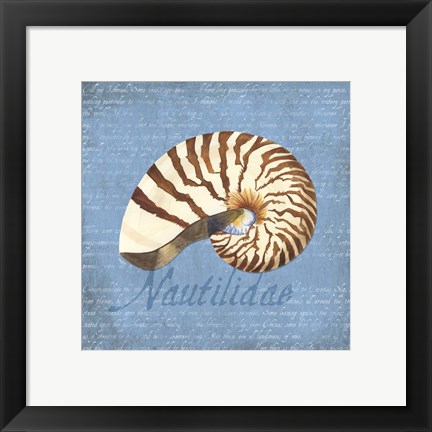 Framed Oceanum Shells Blue III Print