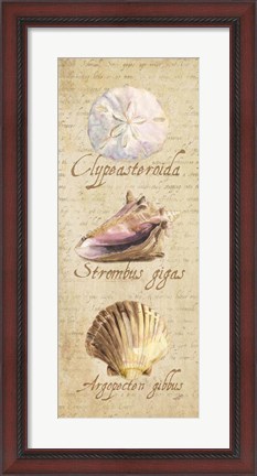 Framed Oceanum Shell Panel Beige I Print