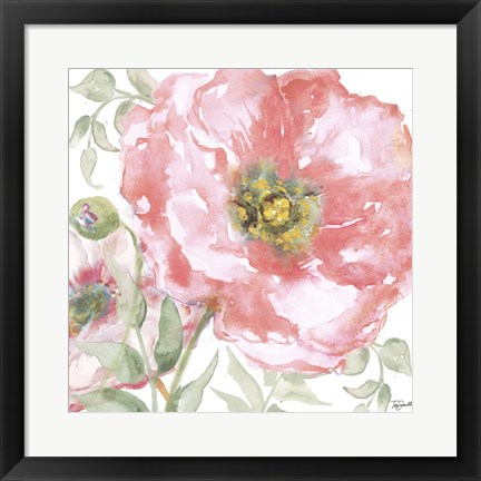 Framed Poppy Romance II Print