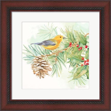 Framed Winter Birds I Warbler Print