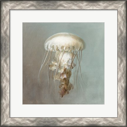 Framed Treasures from the Sea VI Print