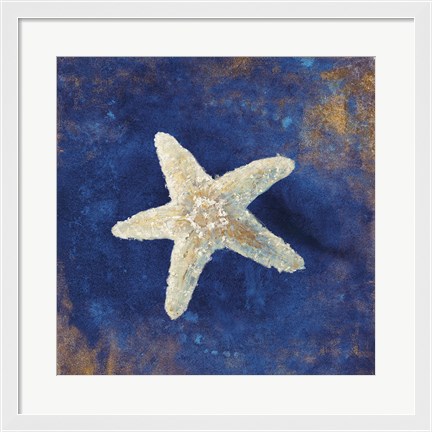 Framed Treasures from the Sea Indigo IV Print