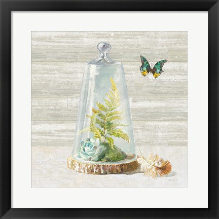 Framed Succulent Garden IV Print