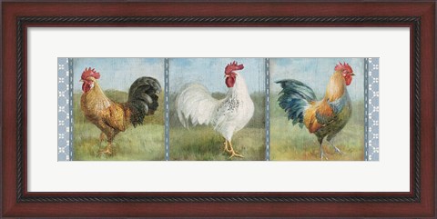 Framed Noble Roosters V Print