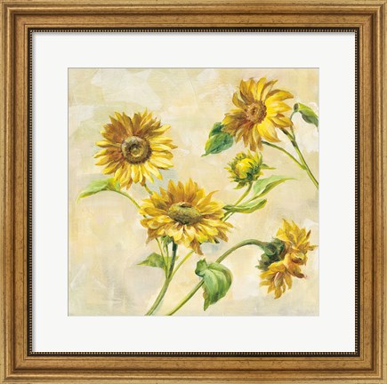 Framed Farm Nostalgia Sunflowers Print
