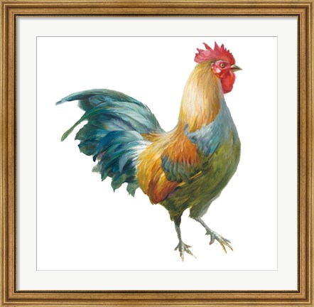 Framed Noble Rooster III on White Print