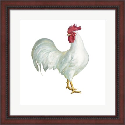 Framed Noble Rooster I on White Print