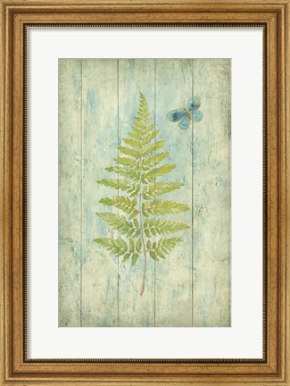 Framed Natural Floral XIII Butterfly Print