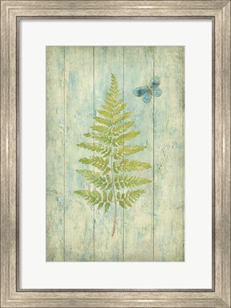 Framed Natural Floral XIII Butterfly Print
