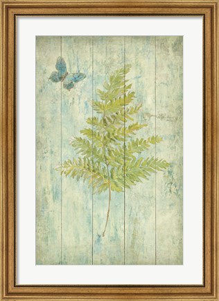 Framed Natural Floral XII Butterfly Print