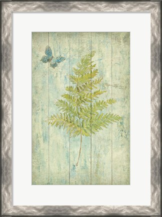 Framed Natural Floral XII Butterfly Print