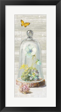 Framed Succulent Garden II Panel Print