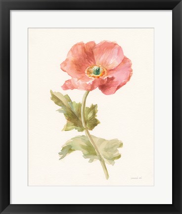Framed Garden Poppy Print