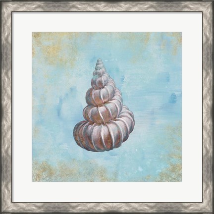 Framed Treasures from the Sea II Watercolor Print