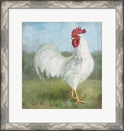 Framed Noble Rooster I Vintage No Border Print