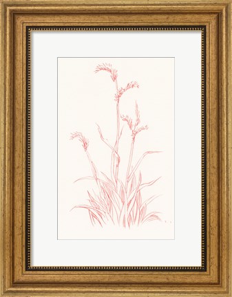 Framed Farm Nostalgia Flowers V Print