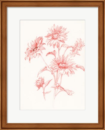 Framed Farm Nostalgia Flowers I Print