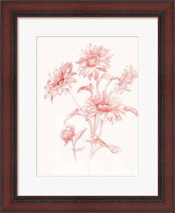 Framed Farm Nostalgia Flowers I Print