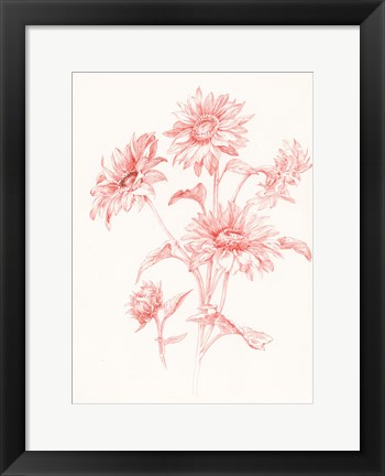 Framed Farm Nostalgia Flowers I Print