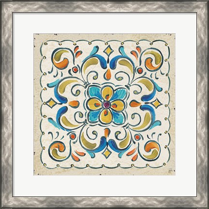 Framed Mediterranean Flair XIV Print