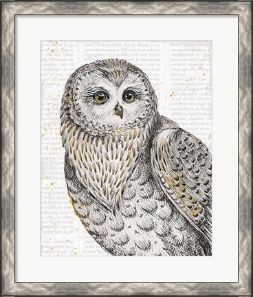 Framed Beautiful Owls IV Print