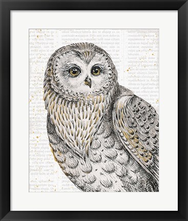 Framed Beautiful Owls IV Print