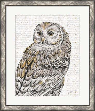 Framed Beautiful Owls III Print