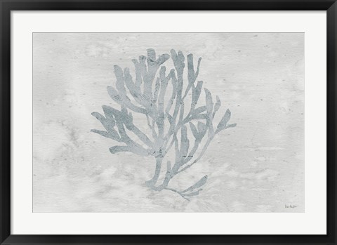 Framed Water Coral III Print
