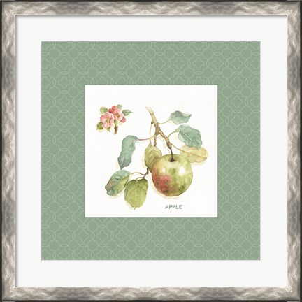 Framed Orchard Bloom I Border Print