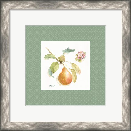 Framed Orchard Bloom II Border Print