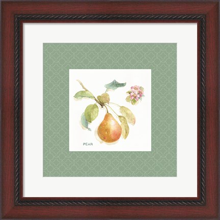 Framed Orchard Bloom II Border Print