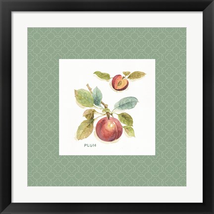Framed Orchard Bloom IV Border Print