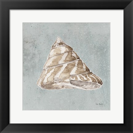 Framed Sand and Seashells IV Print