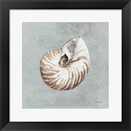 Framed Sand and Seashells I Print