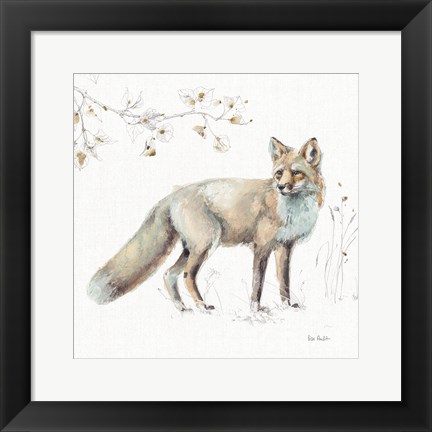 Framed Woodland Walk XI Print