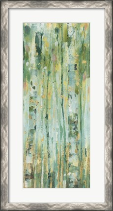 Framed Forest VII Print