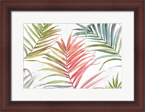 Framed Tropical Blush IV Print