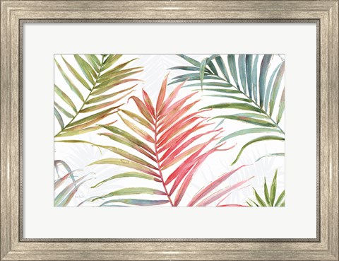 Framed Tropical Blush IV Print