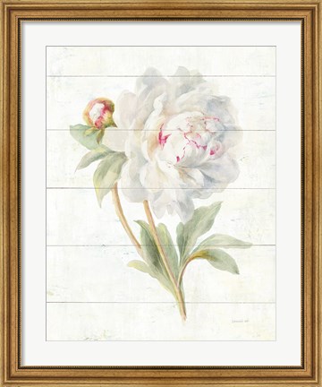 Framed June Blooms II Print