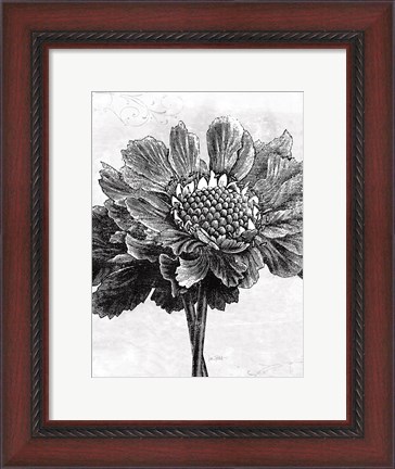 Framed Spa Botanical I BW Crop Print