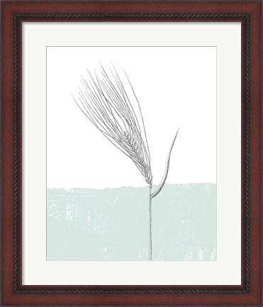 Framed Barley Print