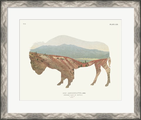 Framed American Southwest Buffalo Print