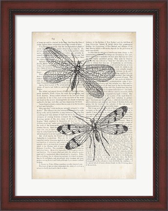 Framed Vintage Dragonflies on Newsprint Print