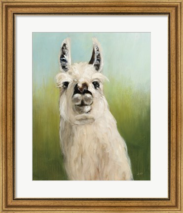 Framed Whos Your Llama I Print